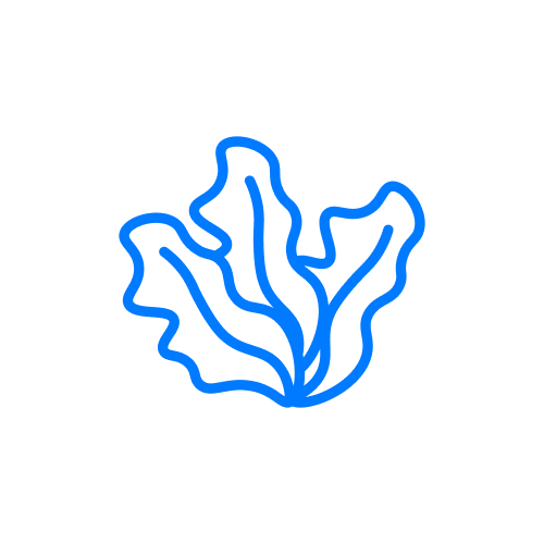 海藻